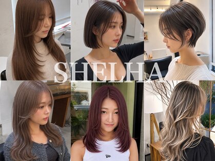 シェルハ(SHELHA)の写真
