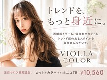 ヴィオラカラー(VIOLLA COLOR)