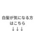 白髪が気になる方は以下のメニューからお選び下さい♪