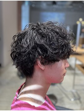 ラズベリーパイ(raspberry pie) RASPBERRY PIE 辻堂