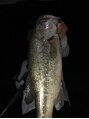 レジット(Legit) 釣りが好きすぎます!暇があれば水辺に立ってます♪