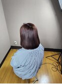 冬COLOR★Dr.ラベンダーピンク