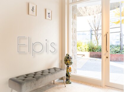 エルピス(Elpis)の写真