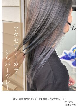 アイリス(IRIS) アクセサリーカラーシルバーグレー
