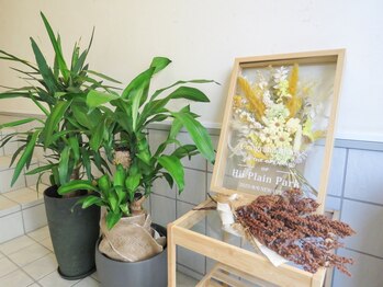 ハーイ プレーン パーク(Hii Plain Park)の写真/浦和にオープンしたHii Plain Parkで、大人女性にぴったりな心地よいひとときをお過ごしください。