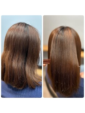 シーク(Seek) ミディアムストレート