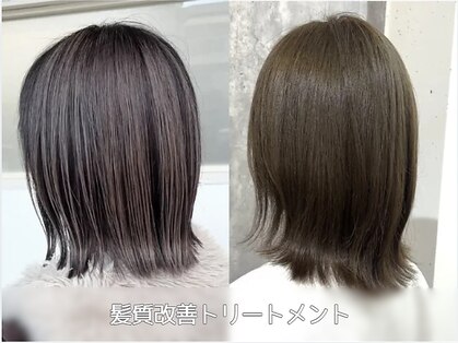 アルファ(alpha)の写真