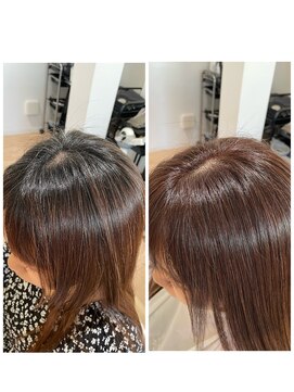 ビケット(biquette) 脱白髪染め