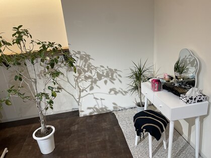 ガーナ(GANA)の写真