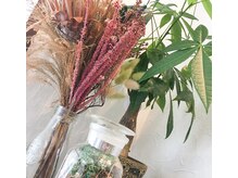 コトコト(coto coto)の雰囲気（観葉植物やドライフラワーなど癒し空間で施術＾＾）