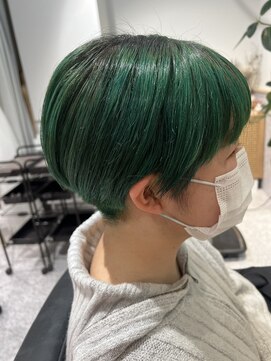 ゼストソエル(ZEST soell) 恐竜カラー○