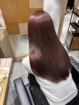 フォルテステラ(FORTE STELLA) チェリーレッドカラー