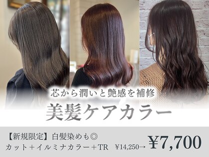 ディスコヘアー(DISCO HAIR)の写真