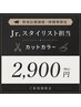 【育成応援価格/時間帯限定】Jr.スタイリスト担当◆カットカラー　2900円