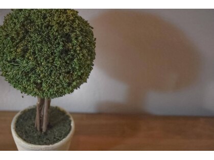 ドロップの写真