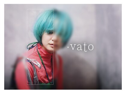 バト(vato)の写真