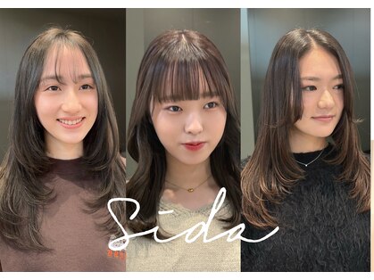 シダ(sida)の写真