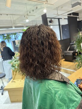 エイト 藤沢店(EIGHT fujisawa) EIGHT fujisawa 藤沢店【エイト】福 優 ハードカーリーパーマ