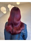 cherry red / 暖色カラー / 艶髪 / ダブルカラー