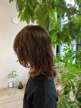 ノコルヘアー(Nocoru hair) ウルフカット×パーマ