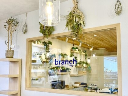 ブランチ(branch)の写真