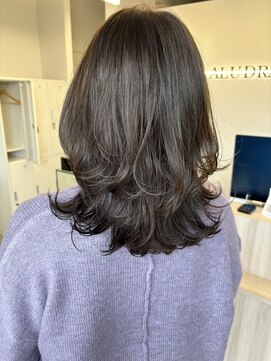 アルドラ(ALUDRA) レイヤー