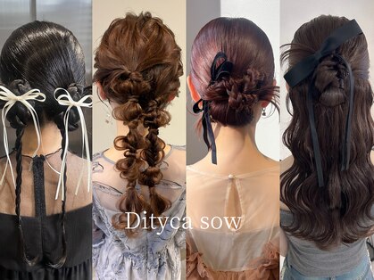 ディティカ サウ(Dityca sow)の写真