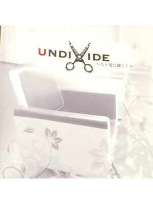 アンディヴァイド(UNDIVIDE)