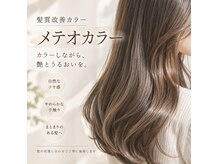 ヴェール(Veil)の雰囲気（メテオシリーズ扱ってます。髪質改善、トリートメントで艶髪に）