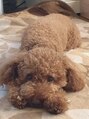 バース ヘアデザイン(Birth hair design) 犬飼ってます♪ぜひ語り合いましょう!