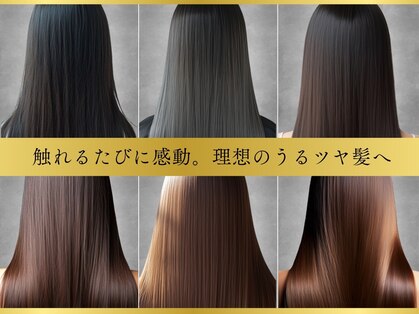 ルアン(ruan)の写真