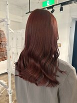 ザ オーダー(THE ORDER)&nbsp;ボルドーカラー/チェリーブラウン/チェリーレッド/赤髪/韓国ヘア