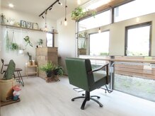 グリーグリー(Gree gree)の雰囲気（店内はgreenと木の温もりが感じられます）