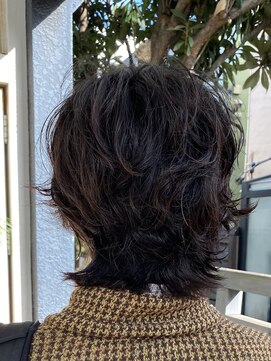 ローカル 四ツ谷(Local) メンズミディアムパーマウルフ