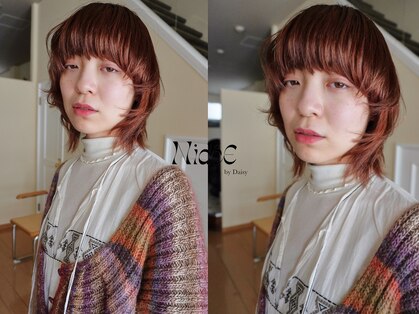 ニディー バイ デイジー(Nidee by Daisy)の写真