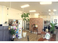 ヘアコンサルタント リンク(Link)