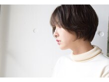 インフィス(INFIS)