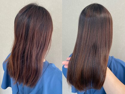 ロッコ 船橋駅(Rocco)の写真