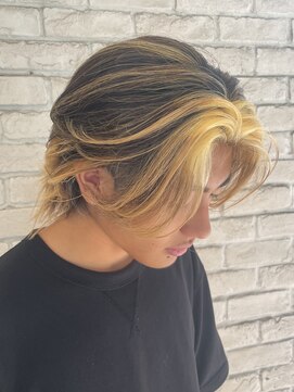 ハウス(HAUS.) デザインハイライトカラー