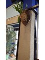 オッジ ヘアー 深谷店(Oggi Hair)&nbsp;植物大好き
