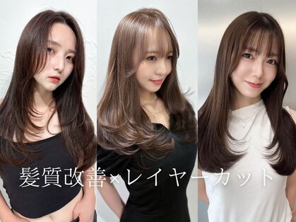 エルサ(Elsa)の写真