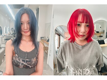 シラフ(SHIRAF)の写真