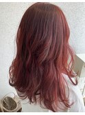 【scisco 犬塚】チェリー♪