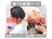 あなたはどちら？選べる厳選コース