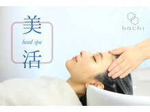 ハチ(hachi)の雰囲気（癒しとキレイが同時に叶います）