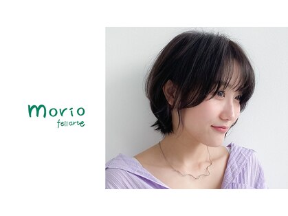モリオフェリアルテ(morio feliarte)の写真