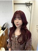韓国トレンドレイヤー