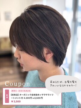 スピーディーカラー 太田城西の杜店 オーガニック全体染め+サラサラトリートメント