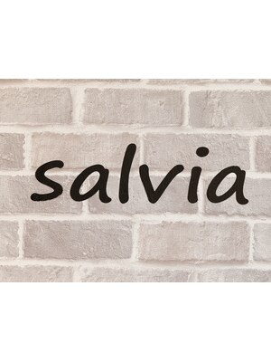 サルビア(Salvia)