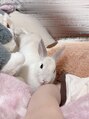 オーダー(O/ODER)&nbsp;家で飼ってるペットのラムちゃんです！